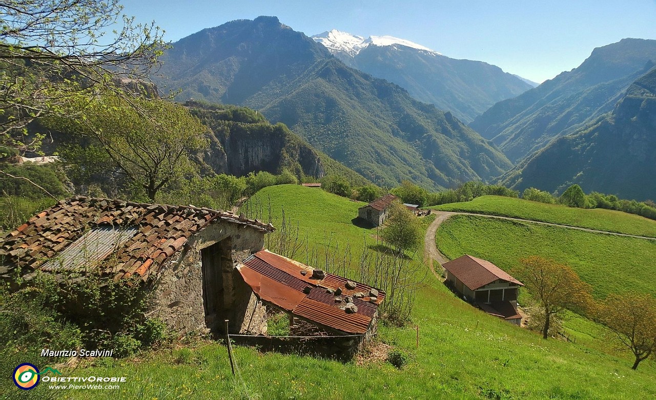 22 Bruga alta, gli ultimi pascoli. Sullo sfondo il solco della Val Pari na, Ortighera e Menna....JPG